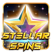 Stellar Spins