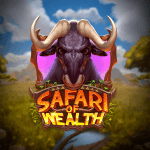 Safari of  Wealth