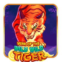 Year  of  The  Wild  Wild  Tiger